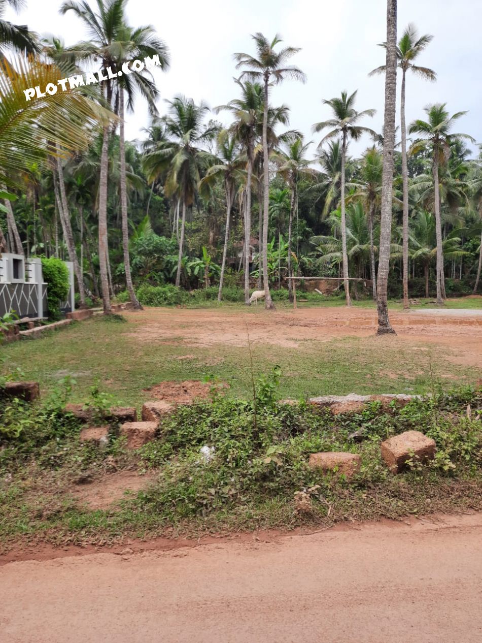 Residential Land For Sale